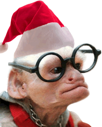 christmas_monkey